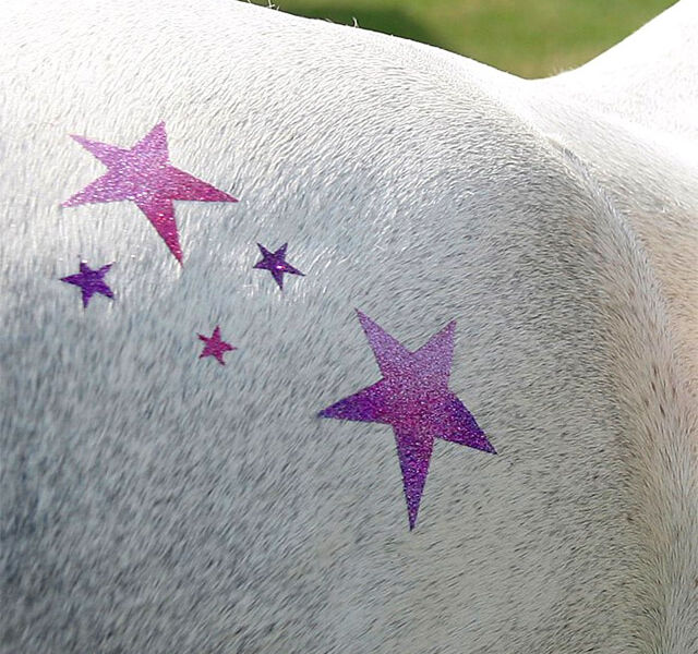 Stars Glitter Tattoo Kit Stencil for Horses