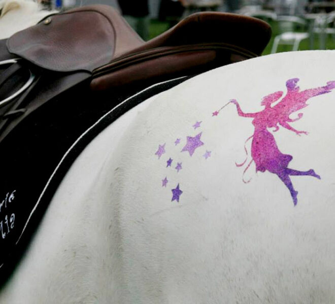 Fairy Glitter Tattoo Kit Stencil for Horses