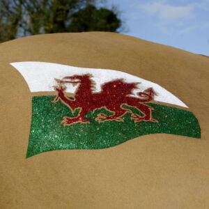 Welsh Flag Quarter Mark Stencil